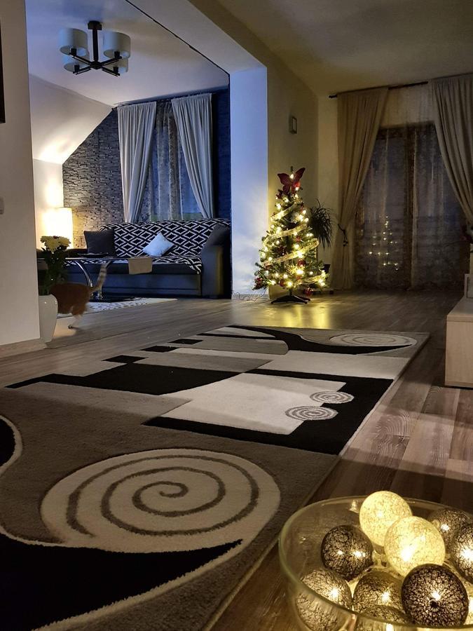 Cristina House Apartment Brasov Exterior photo